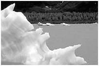Iceberg framing Portage Lake. Alaska, USA (black and white)