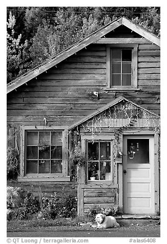 Dog in front of house in Copper Center. Alaska, USA (black and white)