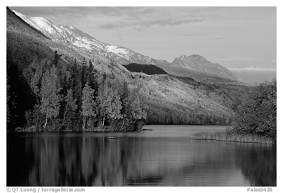 Long Lake with Autum Aspens, late afternoon. Alaska, USA (black and white)