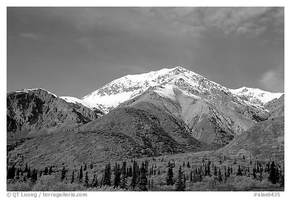Mineralized Sheep Mountain in the Talkeetna Range. Alaska, USA (black and white)