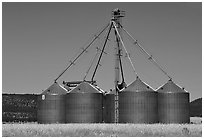Agricultural silos. California, USA (black and white)