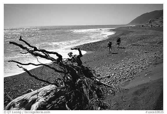 Driftwood and hikers, Lost Coast. California, USA (black and white)