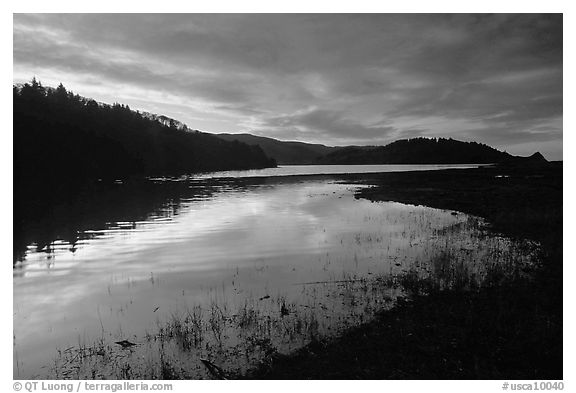 Humbolt Lagoon, sunrise. California, USA (black and white)