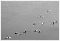 Sea Kayakers, Pilar Point Harbor. Half Moon Bay, California, USA ( black and white)