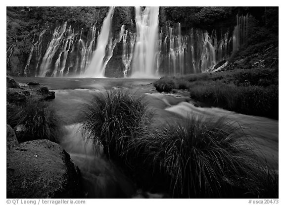 Grasses, stream and wide waterfall, Burney Falls State Park. California, USA (black and white)