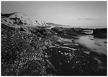 Mussels and Cliffs, Sculptured Beach, sunset. California, USA ( black and white)