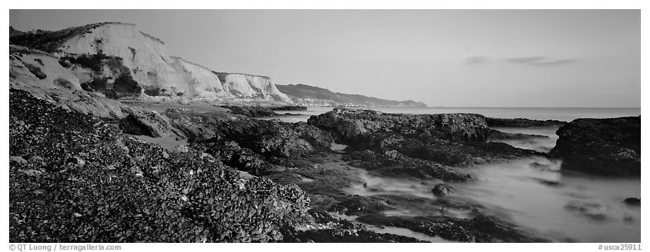 California seascape with mussels and cliffs. Point Reyes National Seashore, California, USA (black and white)