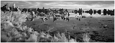 Mono Lake landscape. Mono Lake, California, USA (Panoramic black and white)