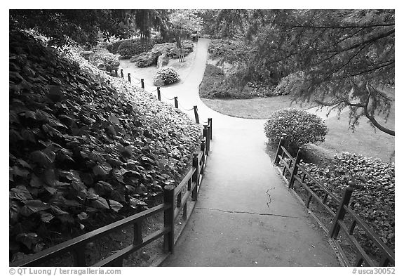 Alley in Japanese Friendship Garden. San Jose, California, USA (black and white)