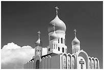 Russian Cathedral Holy Virgin. San Francisco, California, USA (black and white)