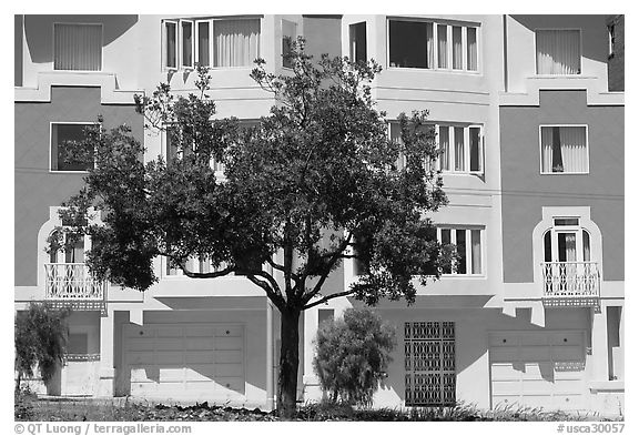Tree and colorful house. San Francisco, California, USA (black and white)