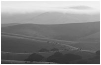 Rolling Hills and fog, sunrise, Fort Ord National Monument. California, USA (black and white)