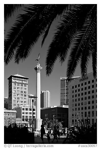 Union square and column framed by palm trees, afternoon. San Francisco, California, USA