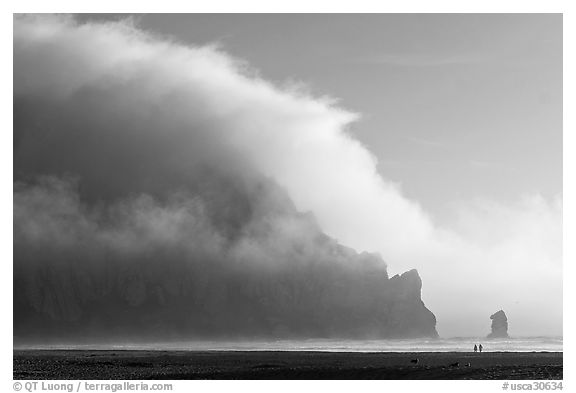 Morro Rock engulfed by afternoon fog. Morro Bay, USA (black and white)