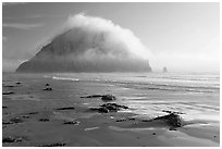 Beach with seaweed, and Morro Rock capped by afternoon fog. Morro Bay, USA ( black and white)