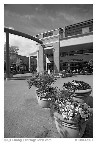 Menlo Center, afternoon. Menlo Park,  California, USA
