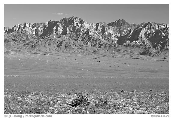 Providence Mountains. Mojave National Preserve, California, USA