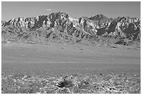 Providence Mountains. Mojave National Preserve, California, USA (black and white)
