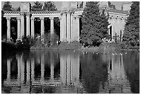 Colonades and reflection, Palace of Fine Arts, morning. San Francisco, California, USA ( black and white)