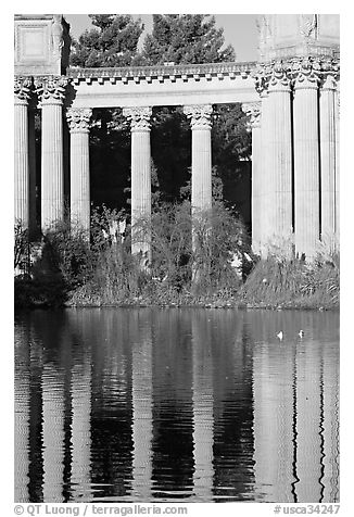 Colons and reflection, Palace of Fine Arts, morning. San Francisco, California, USA (black and white)
