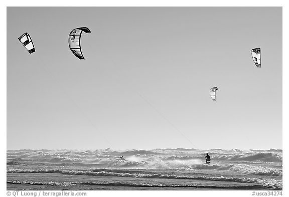 Multitude of kite surfing wings, afternoon. San Francisco, California, USA (black and white)