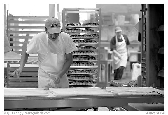 Baker hand-coating lofs of bread. San Francisco, California, USA