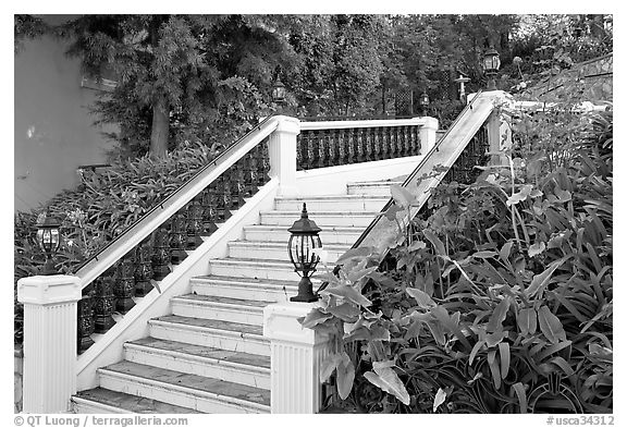 Stairs and garden, Nob Hill. San Francisco, California, USA (black and white)