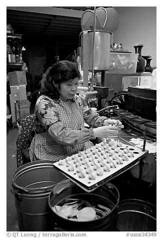 Woman folding fortune cookies, Chinatown. San Francisco, California, USA (black and white)