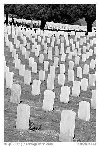 Gravestones and trees, Fort Rosecrans National Cemetary, Point Loma. San Diego, California, USA (black and white)