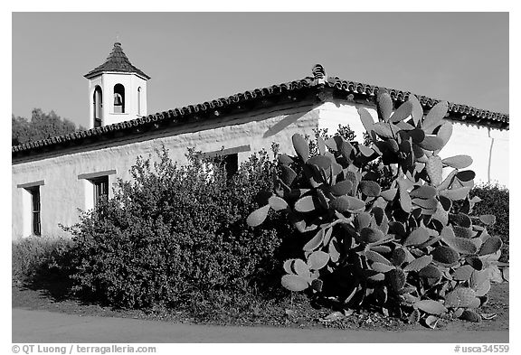 Cactus and adobe house, Old Town State Historic Park. San Diego, California, USA (black and white)