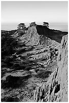 Steep weathered sandstone cliffs, Torrey Pines State Preserve. La Jolla, San Diego, California, USA (black and white)