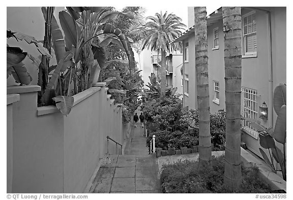 Narrow Alley. La Jolla, San Diego, California, USA (black and white)