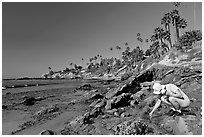 Women checking out a tidepool. Laguna Beach, Orange County, California, USA ( black and white)