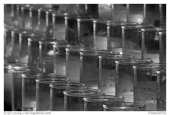 Rows of candles, sharp. San Juan Capistrano, Orange County, California, USA (black and white)