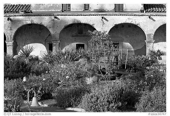 Garden in the entrance courtyard. San Juan Capistrano, Orange County, California, USA (black and white)