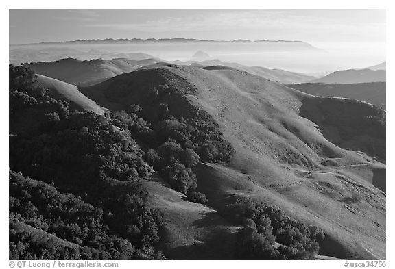 Green hills, with cost in the distance. Morro Bay, USA (black and white)