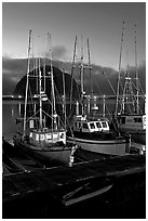 Lighted fishing boats and Morro Rock. Morro Bay, USA ( black and white)
