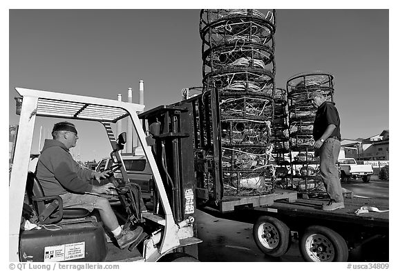 Men loading crab traps onto a truck. Morro Bay, USA