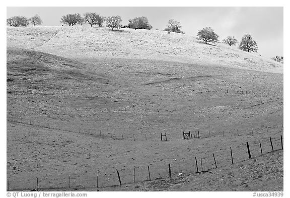 Hills with top covered with fresh snow, Mount Hamilton Range foothills. San Jose, California, USA