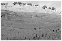 Hills with top covered with fresh snow, Mount Hamilton Range foothills. San Jose, California, USA ( black and white)