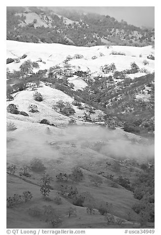 Green hills partly covered with snow, Mount Hamilton Range. San Jose, California, USA (black and white)
