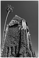 Ivy-covered Tower Hall, San Jose State University. San Jose, California, USA (black and white)