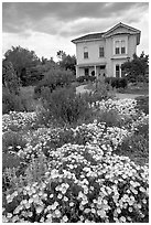 Emma Prush Farmhouse. San Jose, California, USA (black and white)