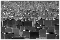 Headstones, Colma. California, USA ( black and white)