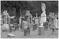 Variety of headstones, Colma. California, USA (black and white)