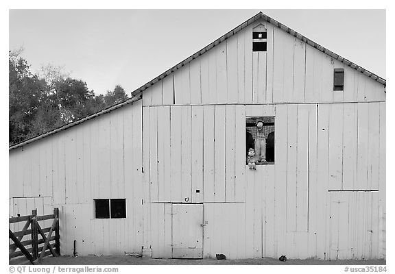 Barn with figures in window and cats, Happy Hollow Farm, Rancho San Antonio Park, Los Altos. California, USA (black and white)