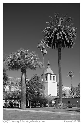 Palm trees and mission, Santa Clara University. Santa Clara,  California, USA (black and white)