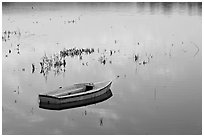Rowboat in Lake Lagunata. Stanford University, California, USA (black and white)