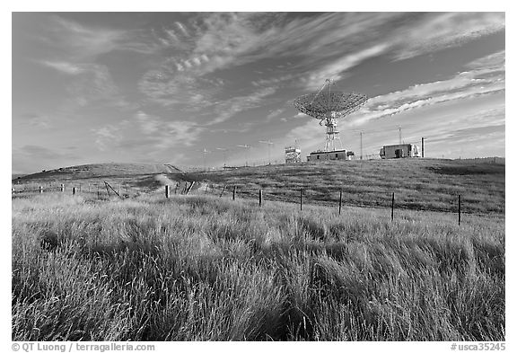 Grasses, fence, and parabolic antenna. Stanford University, California, USA (black and white)