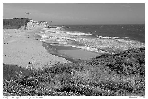 Beach with waves and kites, Scott Creek Beach. California, USA (black and white)